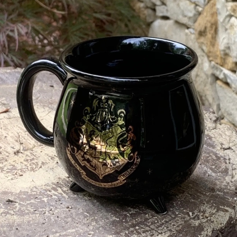 Harry Potter - Cauldron Mug - 20 oz - Draco - Dormiens Nunquam - Titillandus
